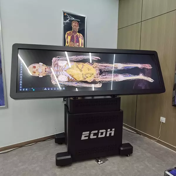 How the DIGIHUMAN Virtual Anatomy Dissection Table Transforms Medical ...
